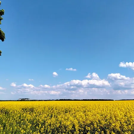 Am Weifberg In *